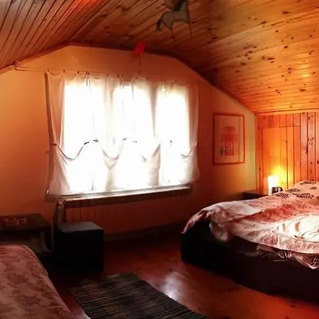 Bluevalley Challet * Eleshnitsa