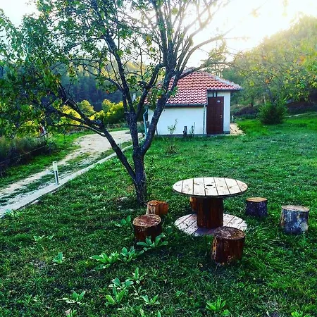 Bluevalley Challet * Eleshnitsa